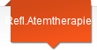 Refl.Atemtherapie